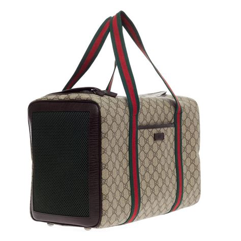 gucci small dog carrier|Gucci dog carrier for sale.